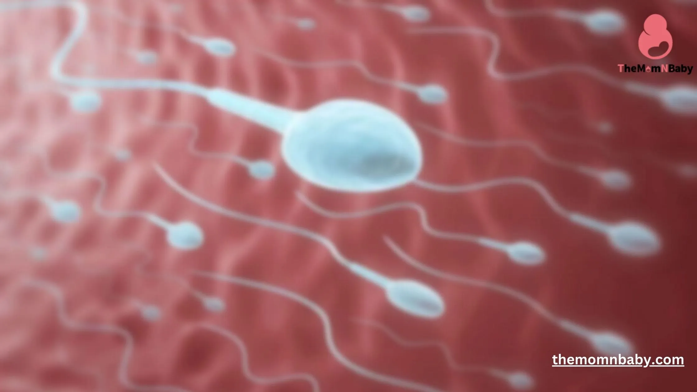 13 Effects on Male Fertility Explained